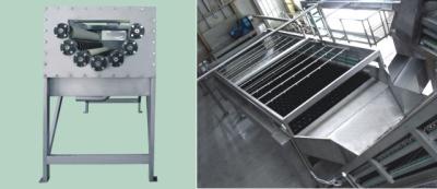 China Food Industrial Metal Vegetable Processing Equipment for Vegetable Line High Speed for sale