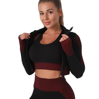 China Breathable Three-Piece Female Hip-lifting Fitness Plus Size Yoga Suit Sports Elastic Zipper Breathable Seamless Yoga Tops Color Matching for sale