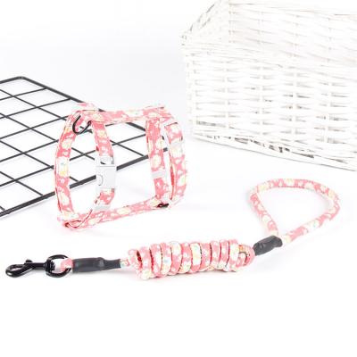 China Latest Viable Hot Sale Custom Logo Pet Cat Rope Nylon Professional Leash for sale