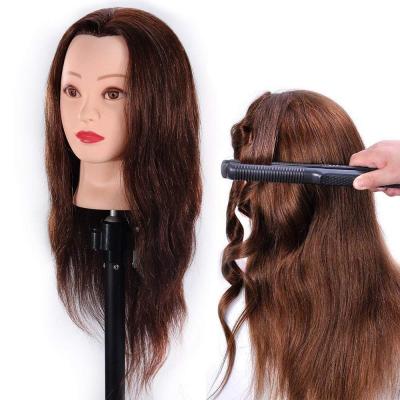 China Cosmetology Mannequin Heads 100% Real Hair Hairdresser Training Head Manikin Mannequin Master Head Cosmetology Doll For Wigs for sale