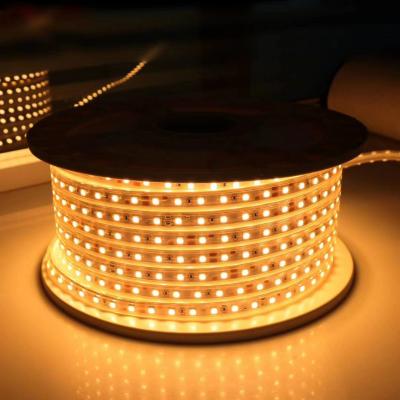 China Project Shenzhen Quality Led Waterproof LED Strip Light IP67 LED Strip Light AC 220V SMD 2835Flexible LED Strip for sale