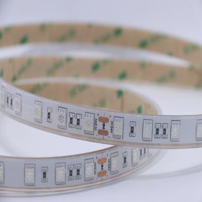 China Office Flexible Strip Light IP20 IP65 IP67 IP68 60LEDs/meter SMD 5050 RGB LED for sale