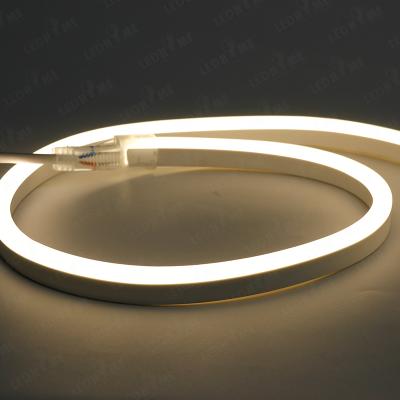 China Energy Saver LANDSCAPE/OUTDOOR/INDOOR 120LEDs 110V 220V Customs Lead Flex Sign Led Rope Waterproof Neon Lamp IP65 IP67 for sale