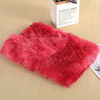 China Outdoor Portable Mechanical Wash Roll In Pet Blanket With Bag Travel Dog Mat Blanket for sale