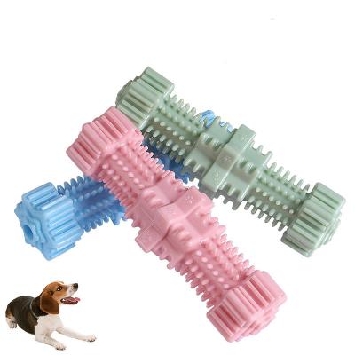 China Sustainable Pet Feeding Products New Style Dog Chewing Toys Pet Interactive Training Toys TPR Dog Toothbrush Molar Cleaning Stick for sale