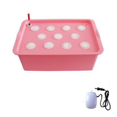 China Farms Hot Sale 11 Holes Indoor Hydroponic Plastic Planting Box for sale