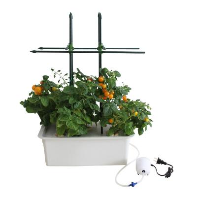 China Hydroponic modern 5 holes grow box with 48mm net pot for sale