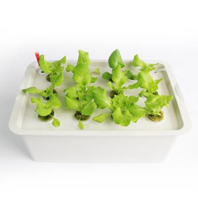 China Farms Garden Hydroponic Planting Box Grow Systems 9 Holes 33mm Planting Hole For Home Kitchen for sale