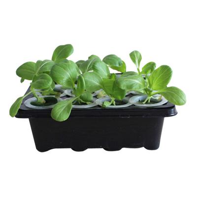 China Wholesale PC Sheet Customized Cover Hydroponic Seedling Tray Nursery Good Quality for sale