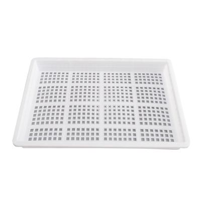 China Good quality and best price pp material seedling tray for hydroponic use with black and white 2 colors for sale