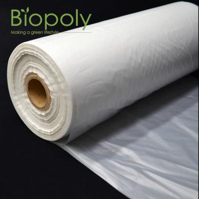 China Biopoly Compostable Cornstarch Pla Compostable Fruit Vegetable Biodegradable Bag On Roll for sale