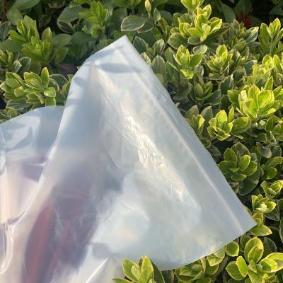 China Biopoly Pla Degradable Bio Tote Bag Compostable Hot Selling Ziplock Holder for sale