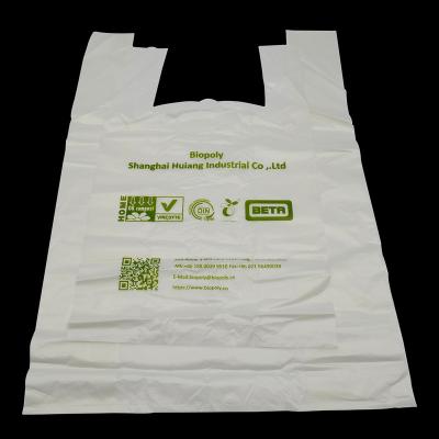 China Hot Selling BIODEGRADABLE Shopping Bag Pla Plastic Bag for sale