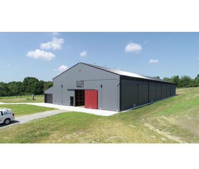 China Customized Prefab Large Span Light Metal Steel Structure Building Warehouse for sale