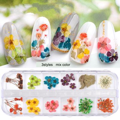 China Wholesale Nail Art Decorations 12 Flower Nail Art Decoration Natural Dry Gypsophila 3D Designs Preserved UV Gel DIY Manicure Designs for sale