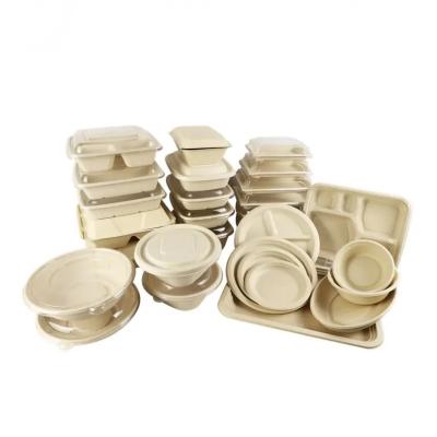 China Bio-degradable Sugarcane bagasse Fluoride-Free Dinnerware lunch Pre-meal takeaway takeout food bento burger box disposable clamshell packaging for sale