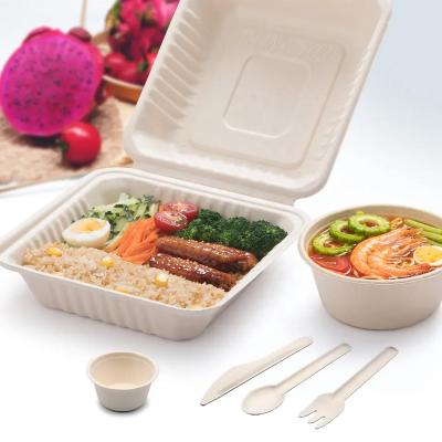 China Bio-degradable Disposable Take Out 9X9 Clamshell Food Container With 3 Compartments Compostable To Go Box Heavy Duty Made From Sugarcane Fibers for sale