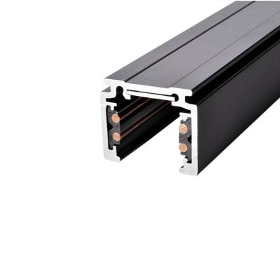 China New Arrival Modern PRO-N110 COB Led Track Rail Light System 48V Outdoor Low Voltage Magnetic Led COB Track for sale