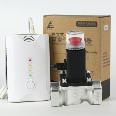 China Auto natural gas leak alarm with self test,reasonable price,no battery and LCD for sale