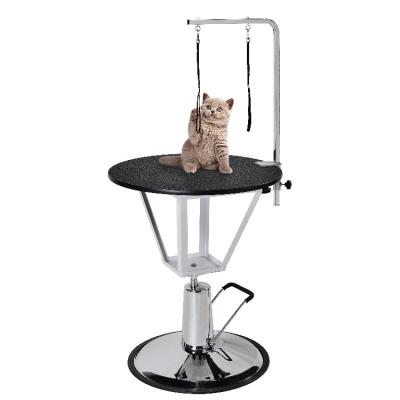 China Sustainable Fashion Product Hydraulic Stainless Steel Dog Cat Pet Grooming Table for sale