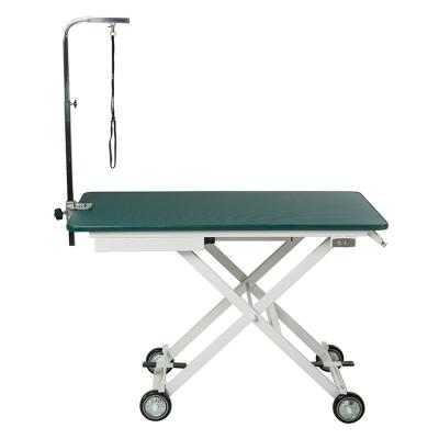 China Sustainable Electric Lift Mobile Grooming Table for sale