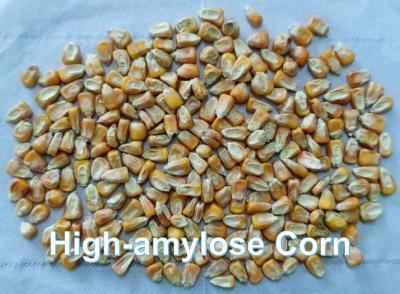 China BEIJING YIGLEE TECH Resistant Starch High Amylose Maize Starch Soluble Dietary Fiber for sale