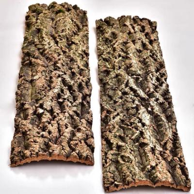 China Cutom Viable Wholesale Flat Natural Cork Oak Bark 10*30cm Cork Bark For Reptile Terrarium Best For Amazon Wholesaler for sale