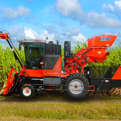 China Famous brand sugarcane sugarcane harvester for sugarcane harvesting for sale