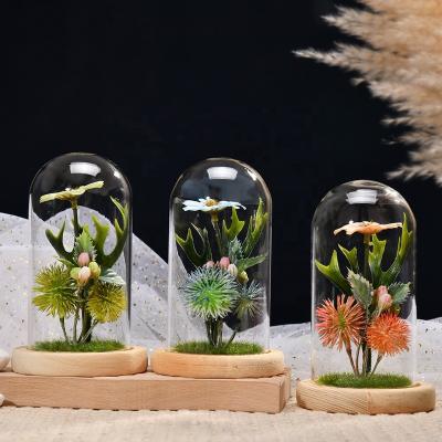 China Gift for Bryophyte Home Office Dome Microlandscape Mini Green Plant Glass Over Girls Decor Desk Decoration for sale