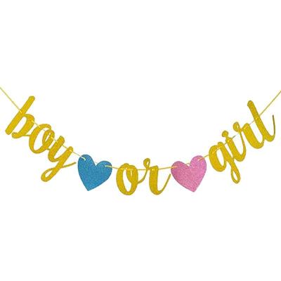 China Baby Gender Reveal Party Decoration Baby Shower Gender Reveal Party Decorative Glitter Powder Heart Boy Or Girl Backdrop Paper Pink Blue Hanging Banner for sale