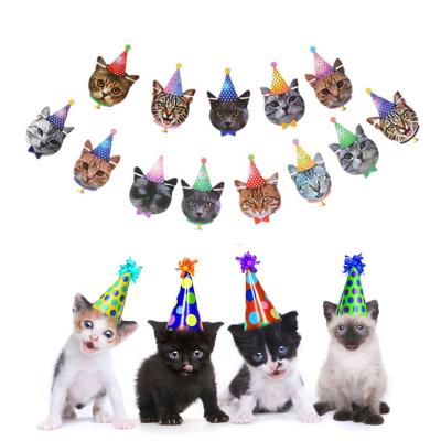 China Cute Birthday Party Backdrop Banner Kitty Puppy Pet Birthday Party Decoration Cat Face Banner Kit For Pet Birthday for sale