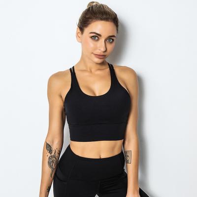 China New Fashion Antibacterial Padded Gym Sports Grow Plus Size Women Clothing Sports Bra Superior for sale