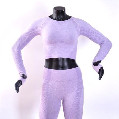 China Seamless Yoga Shark Gym Fitness Clothing Women Antibacterial Sheath Tights Long Top Sleeves for sale