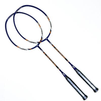 China Eastic & Professional Custom High Quality Badminton Racket Durable Training Badminton Racket for sale