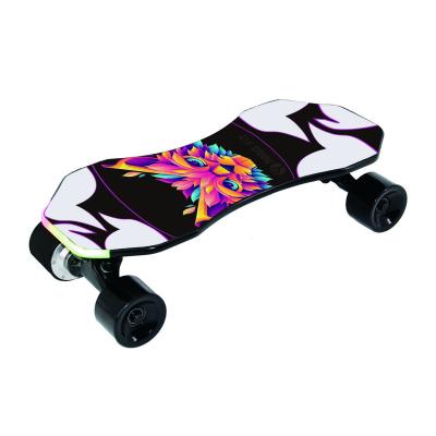 China Max Loading 80Kgs Duel Hub Power Skate Hub Slide Top Fish Cruiser Youth Brand Electric Skateboard With Outboard for sale