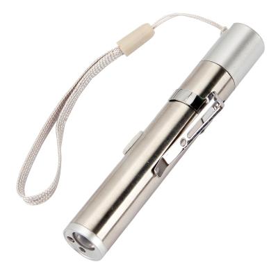 China Cat Play USB Cat Teaser LED Mini Flashlight Stainless Steel Multifunctional Cat Teaser for sale