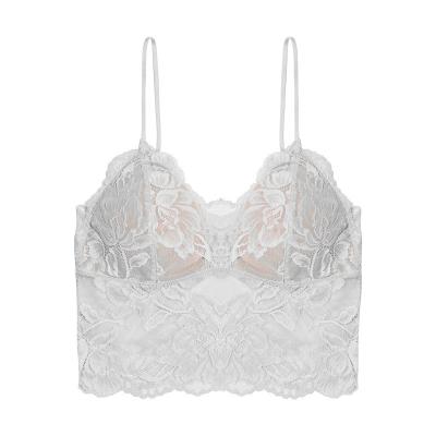 China QUICK DRY French women underwear sexy lace bra set wire free bra triangle cup bra set for sale