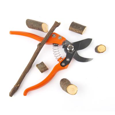 China Various Anti-Slip Handle Factory Sale Professional Tree Shears Widely Used Garden for sale