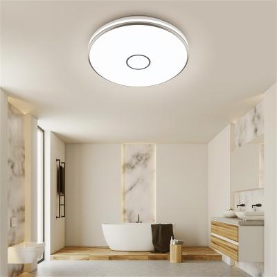 China Simple Install 40W Ultra Thin Circular Ceiling Lamp 4000K High Lumen Living Room Kitchen Balcony Indoor Ceiling Light for sale