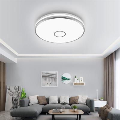 China Simple Install Modern Indoor Light Fixtures Waterproof High Power 40W High Lumens LED Ceil Lamp for sale