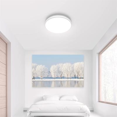 China Simple Install High Quality 5000K Indoor No Illumination Ceiling Light Blink Mode Decoration 20W 1850LM Led Ceiling Light For Living Room for sale