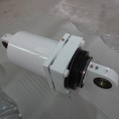 China Rear Cylinder Assembly 9079698 Terex for sale