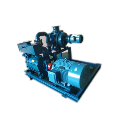 China The New JZJ2B Automotive Industry Compressor Root Fan Pump Professional Water Ring Vacuum Pump for sale