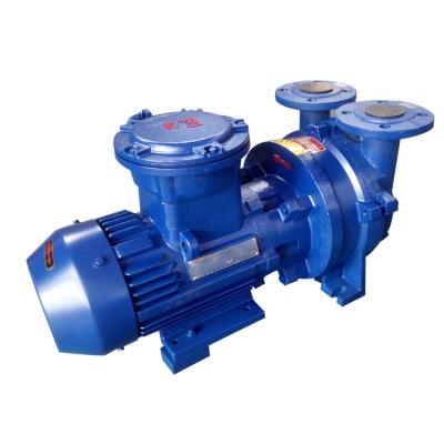 China Automotive Industry China Factory 2BV Liquid Ring Water Jet Vacuum Pump Single Stage for sale