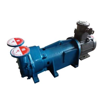 China Automotive Industry Huji 2BV5131 Single Stage Vacuum Pump Explosion Proof Liquid Ring Vacuum Pump for sale