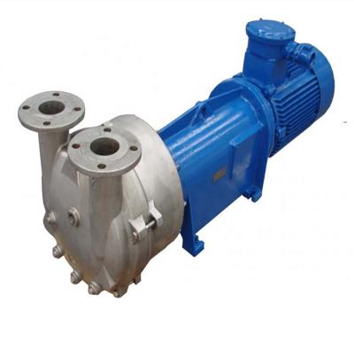 China Automotive Industry Factory Supply 2BV-6131 Ring Vacuum Pump Water Circulating Single Stage Liquid Vacuum Pump for sale