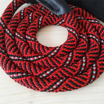 China Walking Dog 10 Mm Pet Rope Dog Leash Rope For Dog Walking Red Blue Black With Reflective for sale