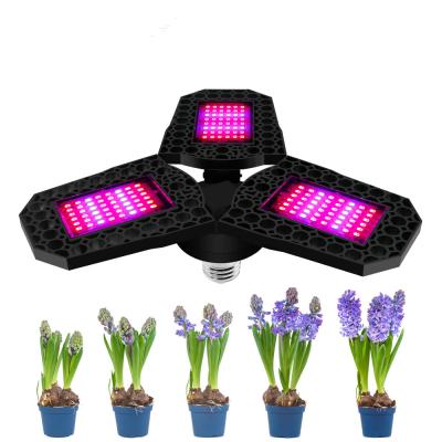 China Seed Starting DIY Kits Waterproof IP65 30W 40W 50W Samsung Full Spectrum Indoor LED Grow Light for sale