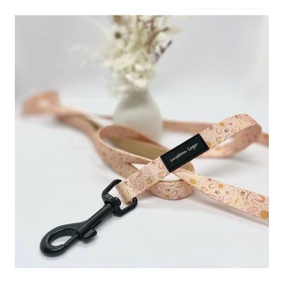 China Custom Free Design Padded INS Hot Selling Logo Dog Leash With Comfortable Neoprene Padded Handle For Pets for sale