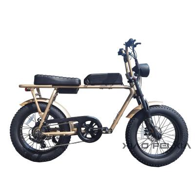 China Aluminum Alloy 20 inch 750w 1000w Long Range Drive Motor Ebike Rear Tire Super Electric 73 Long Seat Retro 7 Speed ​​Electric City Bike for sale